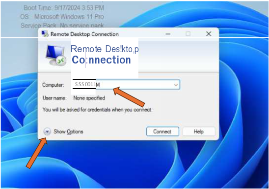 Group Shape To Image
